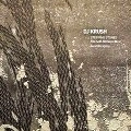 DJ KRUSH / DJクラッシュ / ＳＴＥＰＰＩＮＧ　ＳＴＯ－ｓｏ
