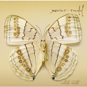 XAVIER RUDD / ザヴィエル・ラッド / ホワイト・モス / WHITE MOTH