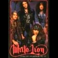WHITE LION / ホワイト・ライオン / ベスト･ライヴ 1987-1991 / CONCERT ANTHOLOGY 1987-1991