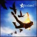 ZEBRAHEAD / ゼブラヘッド / フェニックス