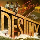 JACKSONS / ジャクソンズ / デスティニー（紙ジャケット） / DESTINY