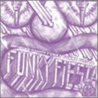 V.A.( DA. ME. RECORDS) / ダメレコーズ / DARTHREIDER presents FUNKY FUNKY FIESTA