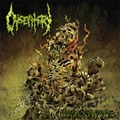 DYSENTERY / FROM PAST SUFFERING COMES NEW FLESH
