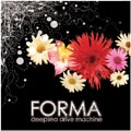 DEEPSEA DRIVE MACHINE / ＦＯＲＭＡ
