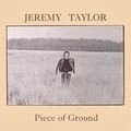 JEREMY TAYLOR (ROCK) / ジェレミー・テイラー / ＰＩＥＣＥ　ＯＦ　ＧＲＯＵＮＤ