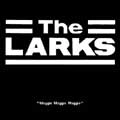 LARKS / ラークス / ＭＡＧＧＩＥ　ＭＡＧＧＩＥ　ＭＡＧＧＩＥ