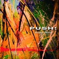Rainey's Band / レイニーズバンド / ＰＵＳＨ　　　　　　　　　　　