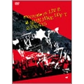 moonriders / ムーンライダーズ / LIVE at SHINJUKU LOFT 2006.4.15