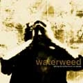waterweed / Killing the earth means our suicide