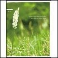 MINORU SATO (m/s, SASW) + ASUNA / 佐藤実+アスナ / ＴＥＸＴＵＲＥ　ＩＮ　ＧＬＡＳＳ　ＴＵＢ