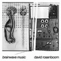 DAVID ROSENBOOM / デヴィッド・ローゼンブーム / ブレインウェーヴ・ミュージック