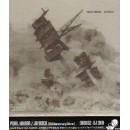 SHING02+DJ SHIN / ＰＥＡＲＬ　ＨＡＲＢＯＲ／JAPONICA