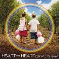 KENTARO TAKIZAWA / ＨＥＡＲＴ　ＴＯ　ＨＥＡＲＴ