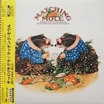 MATCHING MOLE / マッチング・モウル / そっくりモグラ（紙）