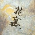 FLOWER COMPANYZ / フラワーカンパニーズ / スーパー裏ベスト