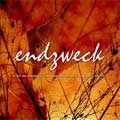 ENDZWECK / WE ARE NOT PESSIMISTIC TO REVOLUTIONIZE TH