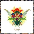 SOLOAL ONE / ＷＨＯ　Ｉ　ＡＭ　？