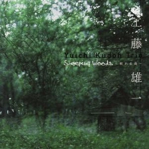 YUICHI KUDO / 工藤雄一 / スリーピング･ウッズ～眠れる森～ / Sleeping Woods