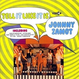 JOHNNY RAY ZAMOT / ジョニー・レイ・サモー / テル･イット･ライク･イット･イズ