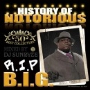 DJ SUNRYZE / ＨＩＳＴＯＲＹ　ＯＦ　ＮＯＴＯＲＩＯＵＳ