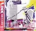 LINK (PUNK) / 素晴らしい世界