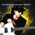 STEVIE SALAS / スティーヴィー・サラス / エッセンシャル（１）