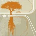 LOTUS / ロータス / ジャーミネイション