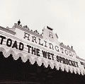 TOAD THE WET SPROCKET / トード・ザ・ウェット・スプロケット / ウェルカム・ホーム：ライヴ・ア