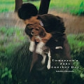 YUKIHIRO TAKAHASHI / 高橋幸宏 (高橋ユキヒロ) / 薔薇色の明日 / TOMORROW'S JUST ANOTHER DAY
