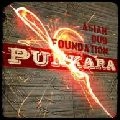 ASIAN DUB FOUNDATION / エイジアン・ダブ・ファウンデイション / パンカラ