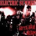 ELECTRIC SUMMER / エレクトリック・サマー / ゴツタハブアドリ-ム!!