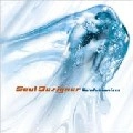SOUL DESIGNER / ソウル・デザイナー / エヴォリューショニズム