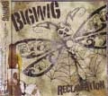 BIGWIG / ビッグウィグ / ＲＥＣＬＡＭＡＴＩＯＮ