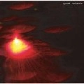PYRATEK / ｈａｒｆ　ａｗａｋｅ