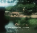 MACROPHAGE LAB / ＡＧＡＲＵＴＡ