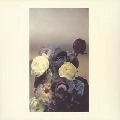 ぱぱぼっくす / 蒼の痕