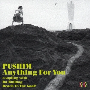 PUSHIM / プシン / Anything For You