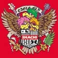 SHACHI / ＥＡＧＬＥＦＬＹ