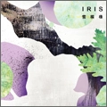 IRIS / 雪模様