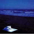 EIKO ISHIBASHI / 石橋英子 / Ｗｏｒｋｓ　ｆｏｒ　Ｅｖｅｒｙ