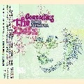 RICH MEDINA / ＣＯＮＮＥＣＴＩＮＧ　ＴＨＥ　ＤＯＴＳ