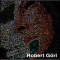 ROBERT GOERL / ロバート・ゴール / ダーク･ツール･シンフォニー