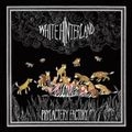 WHITE HINTERLAND / ホワイト・ヒンターランド / フィラクトリー・ファクトリー