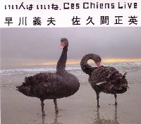 CES CHIENS / セシアン / いい人はいいね　Ｌｉｖｅ