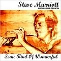 STEVE MARRIOTT / スティーヴ・マリオット / サム・カインド・オブ・ワンダフル