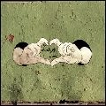 SKAKKAMANAGE / スカッカマネージ / ＬＡＢ　ＯＦ　ＬＯＶＥ
