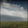 KONNTINENT / コンチネント / ディグリース・インティジャーズ