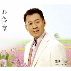 加川明 / れんげ草