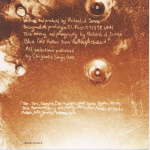 APHEX TWIN / エイフェックス・ツイン / セレクテッド・アンビエント・ワークス・ヴォリューム