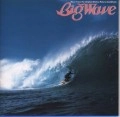 TATSURO YAMASHITA / 山下達郎 / Big Wave